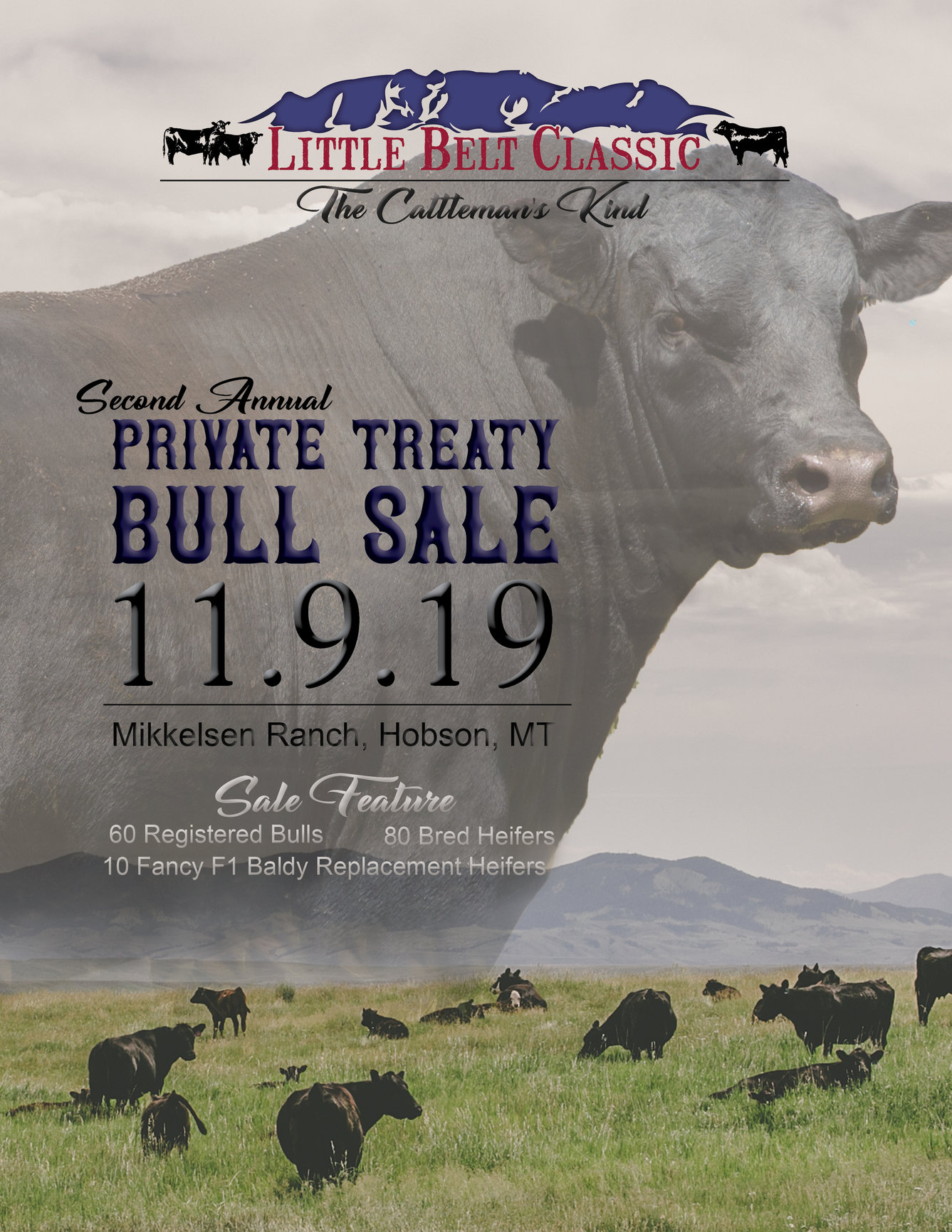 BULL SALE - Little Belt Classic