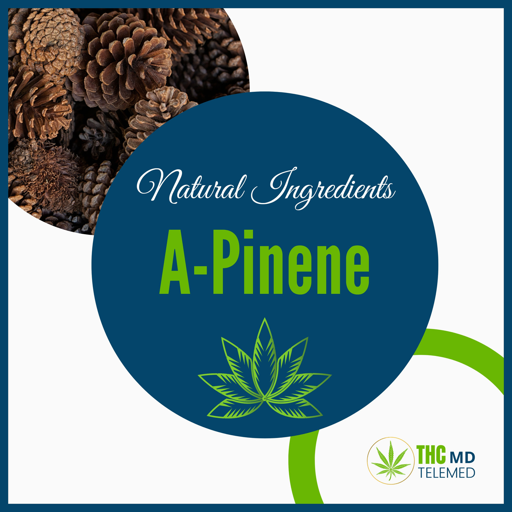 APinene Terpenes Natural Benefits THCMD TELEMED