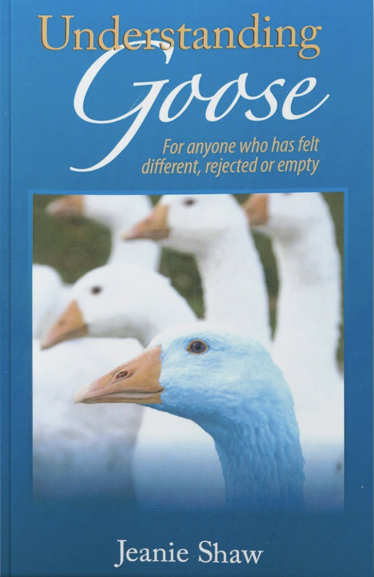 Cover of the book Understanding Goose