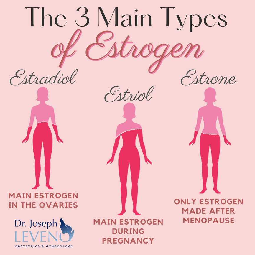 3MainTypesOfEstrogenHormone Dr. Joseph Leveno