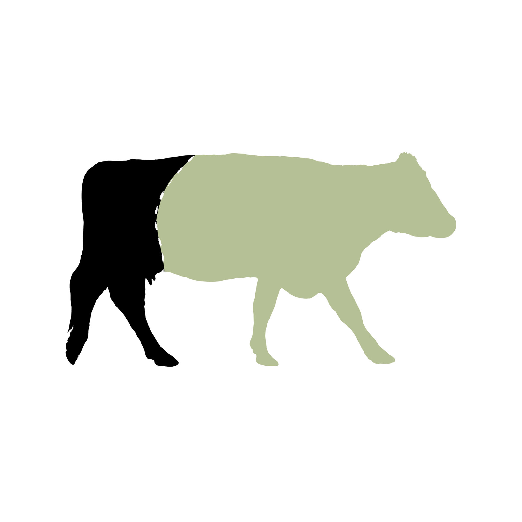 Quarter Cow Casa Olaechea Meat