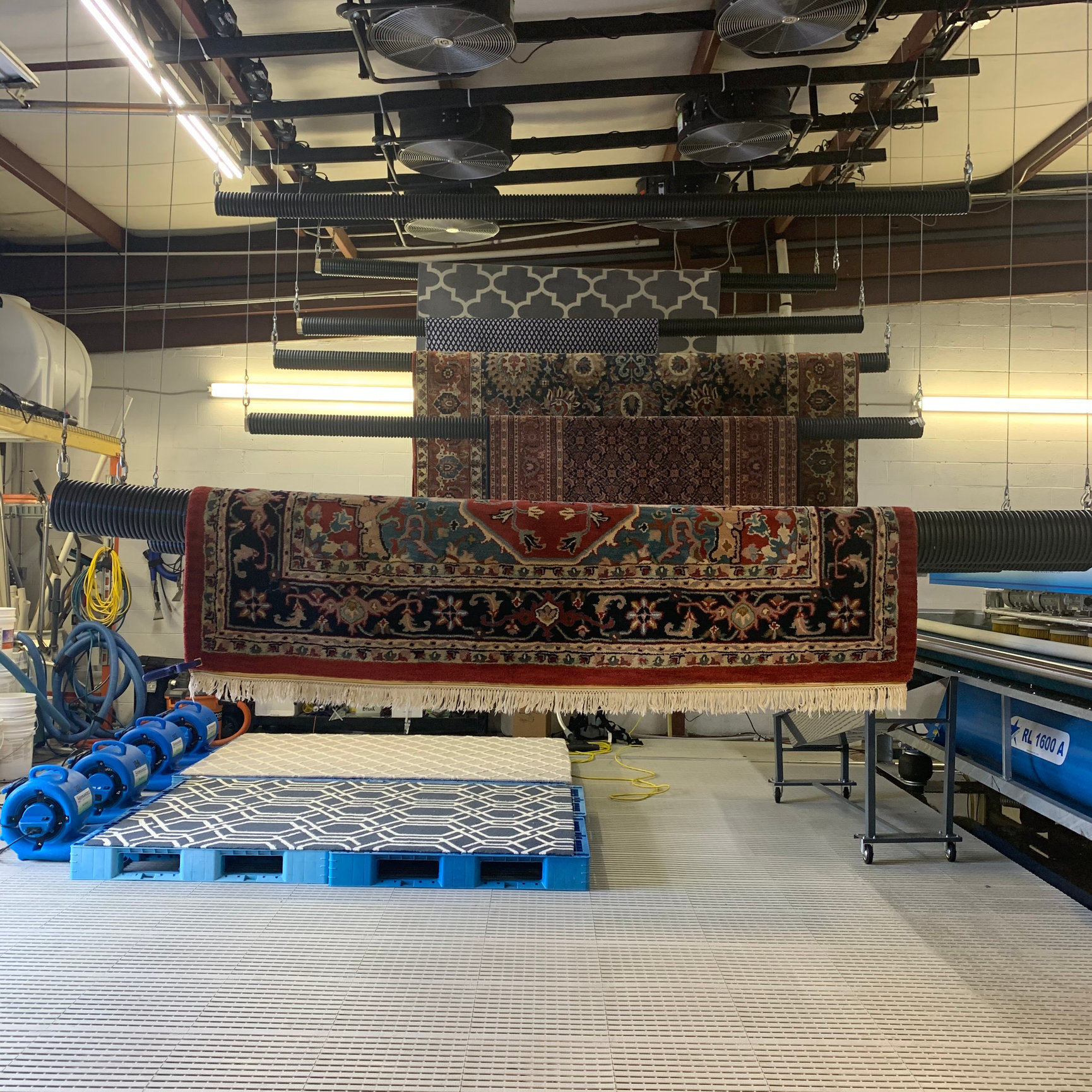 Special Rug Cleaning Oriental Rug Cleaning Greensboro NC