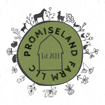 Promiseland Farm LLC Logo